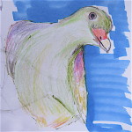 green pigeon small