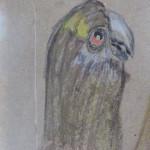 brn parrot on brn paper small