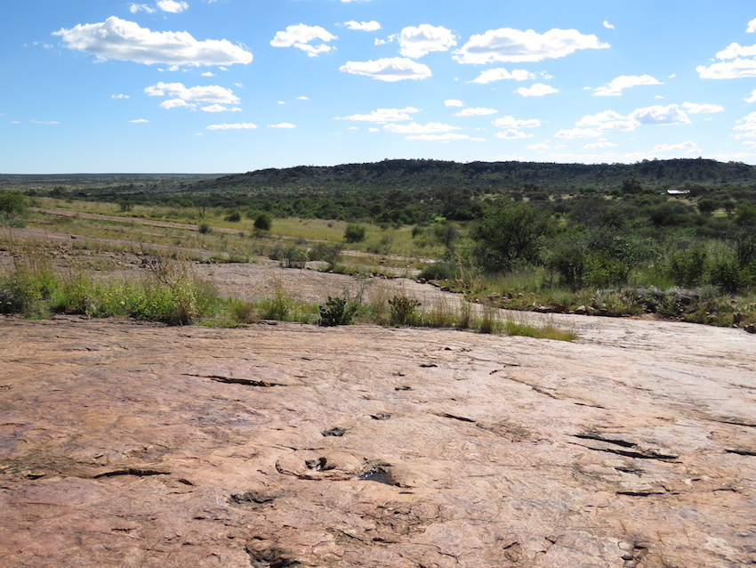 The Golden Age of Dinosaurs. . .  and Safaris