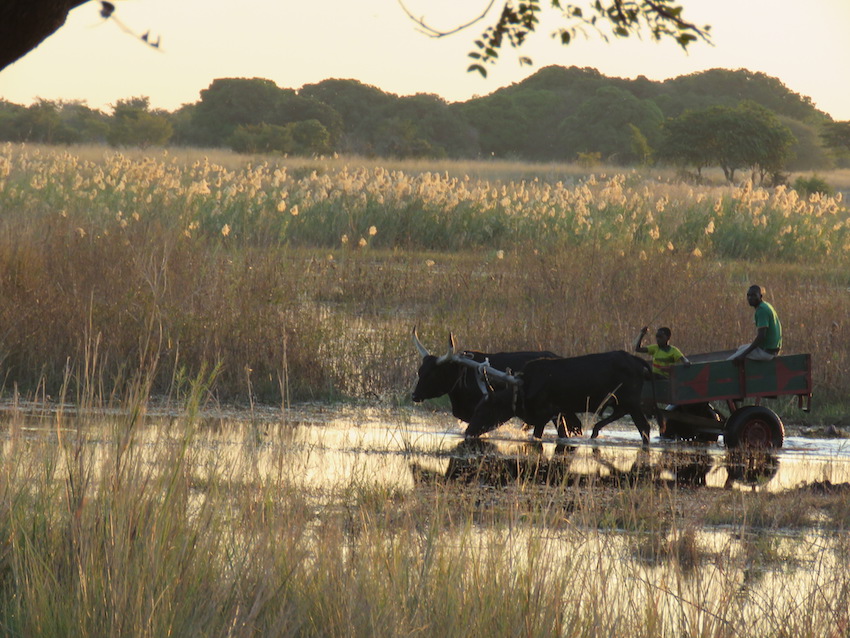 Liuwa Plain, Western Zambia