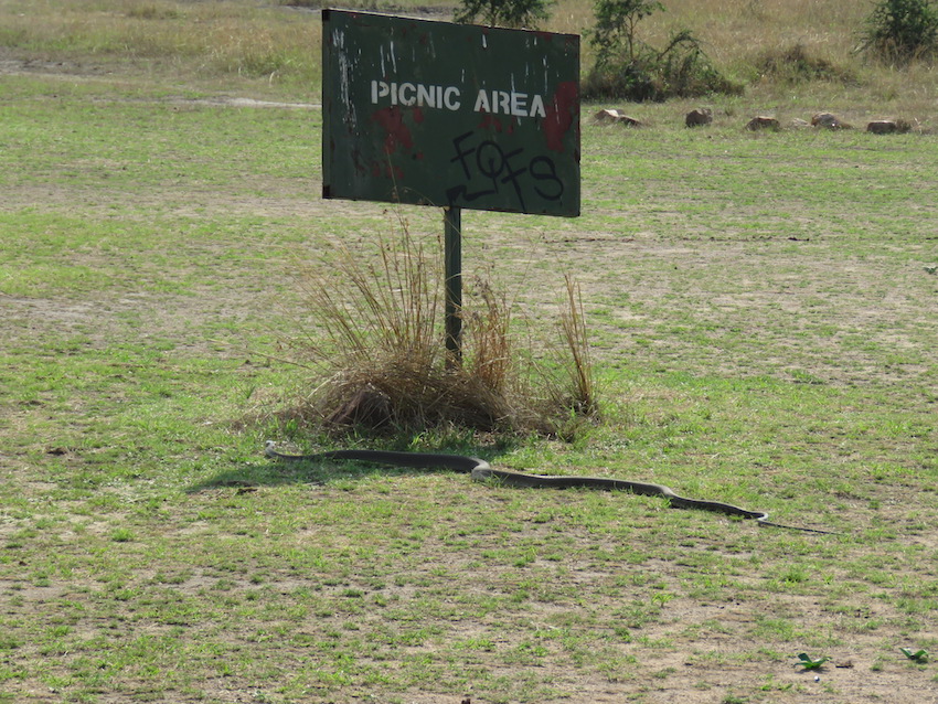 Rwanda and Akagera National Park