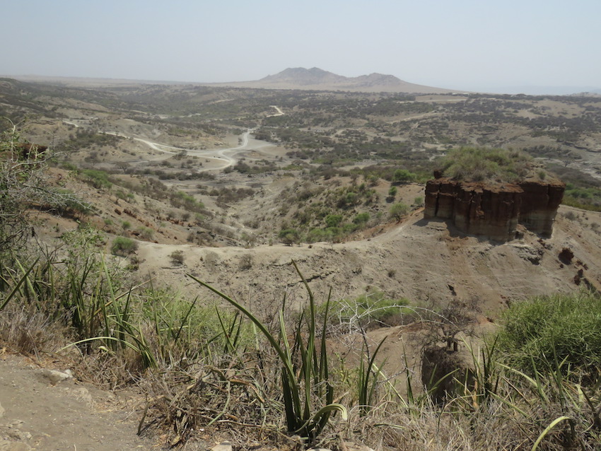 Ngorongoro Crater and Oldupai Gorge