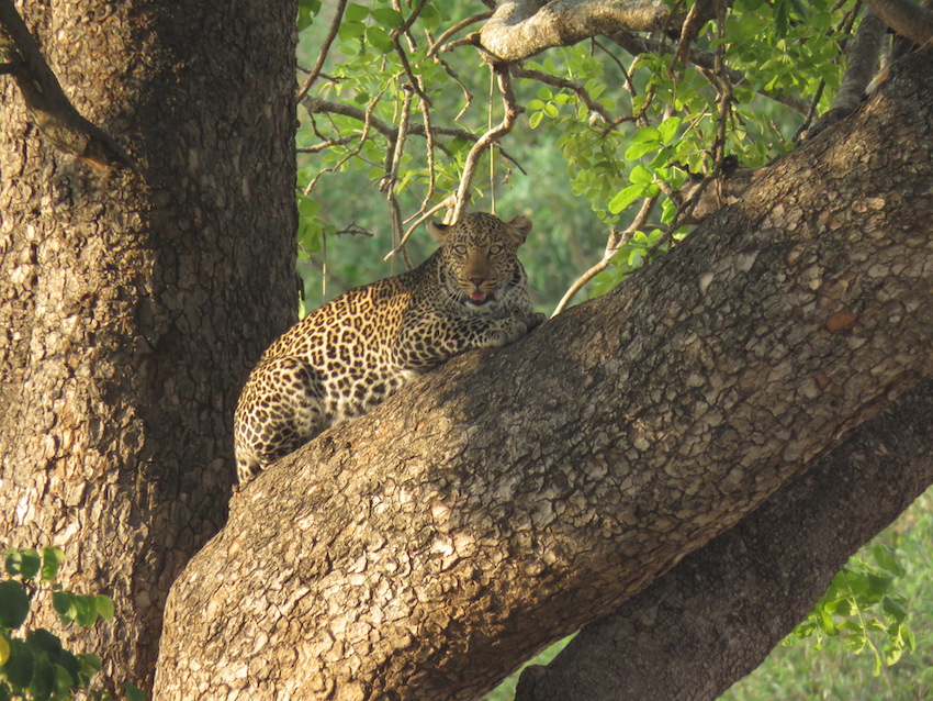 Tarangire National Park