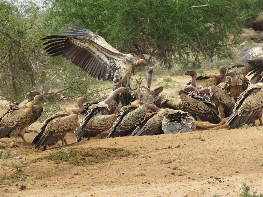 South to Samburu